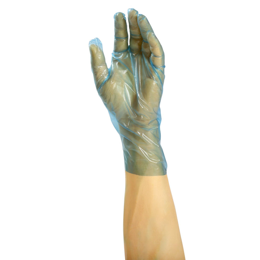 Revolution Blue Cast Poly Gloves, Powder Free, Glove On Hand