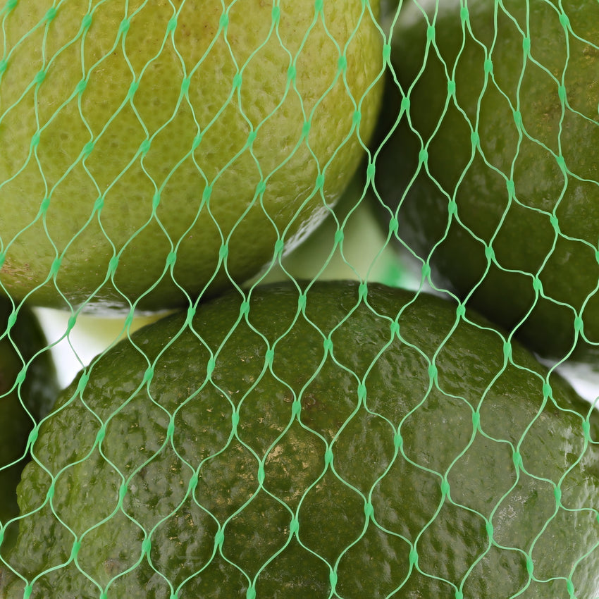 PLASTIC MESH BAG GREEN 24", Bag Filled With Limes Detailed View